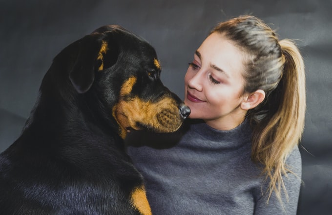 Soñar con un rottweiler cariñoso y juguetón ¿Qué significa?