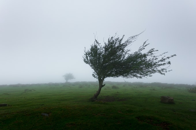 He soñado con el viento, ¿Qué significa este sueño tan extraño para mi vida?