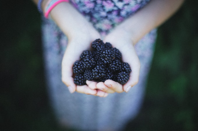 He soñado con moras, ¿Qué puede significar el sueño con esta fruta?