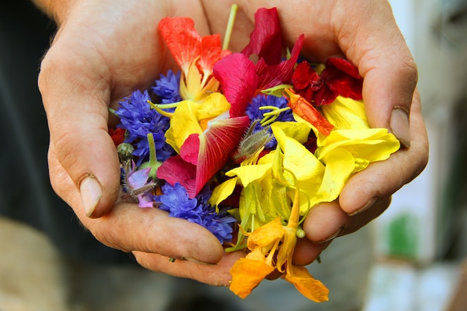 He soñado con una ofrenda, ¿Qué puede significar esto para mi vida?