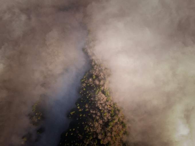 He tenido un sueño con un árbol, ¿Qué puede significar esto para mi vida?