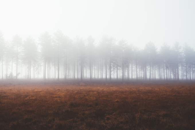 Soñar que llueve dentro del salón ¿Qué significa?